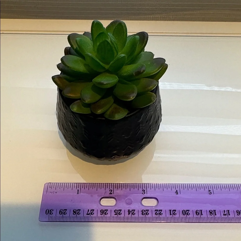 DISNEY PARKS MICKEY HOMESTEAD ARTIFICIAL SUCCULENT POTTED PLANT